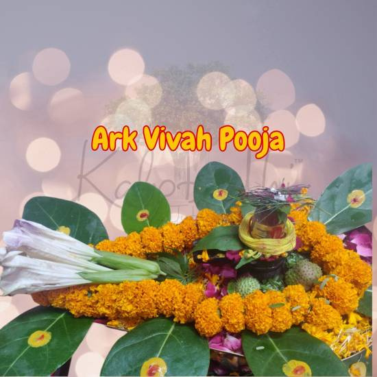 17079arak-pooja.jpg