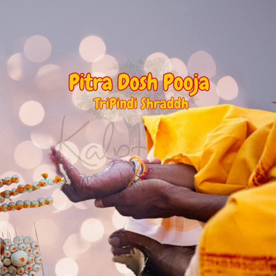 33976pitradosh-pooja.jpg